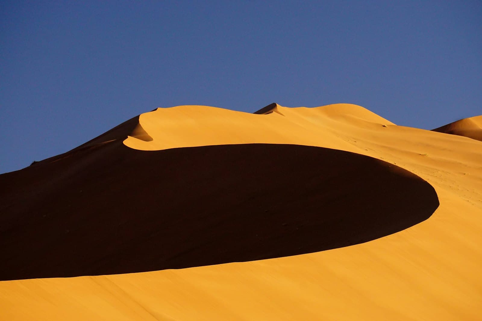 A wind-carved dune under a deep blue sky in the Namib